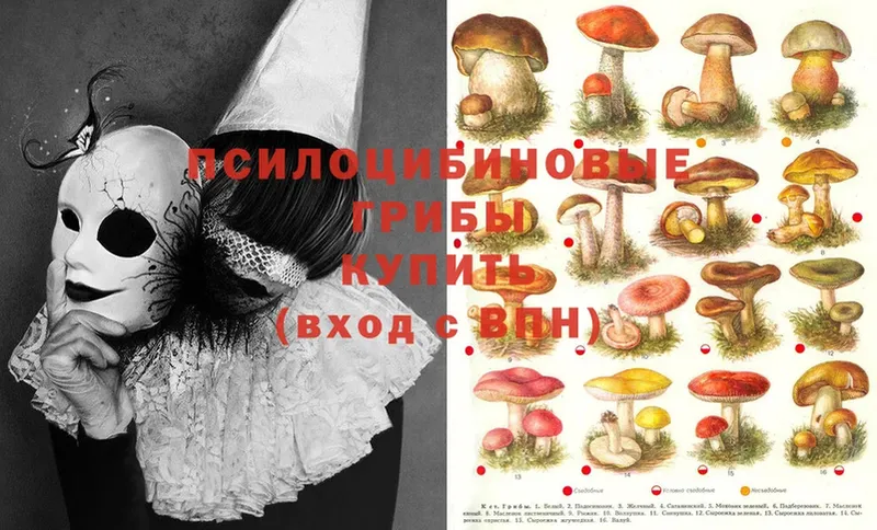 Псилоцибиновые грибы Magic Shrooms  как найти закладки  Апшеронск 